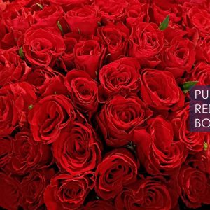 Pure Red Roses Bouquet